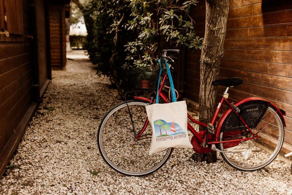 Camping La Pineta Porto Recanati Eksteriør bilde